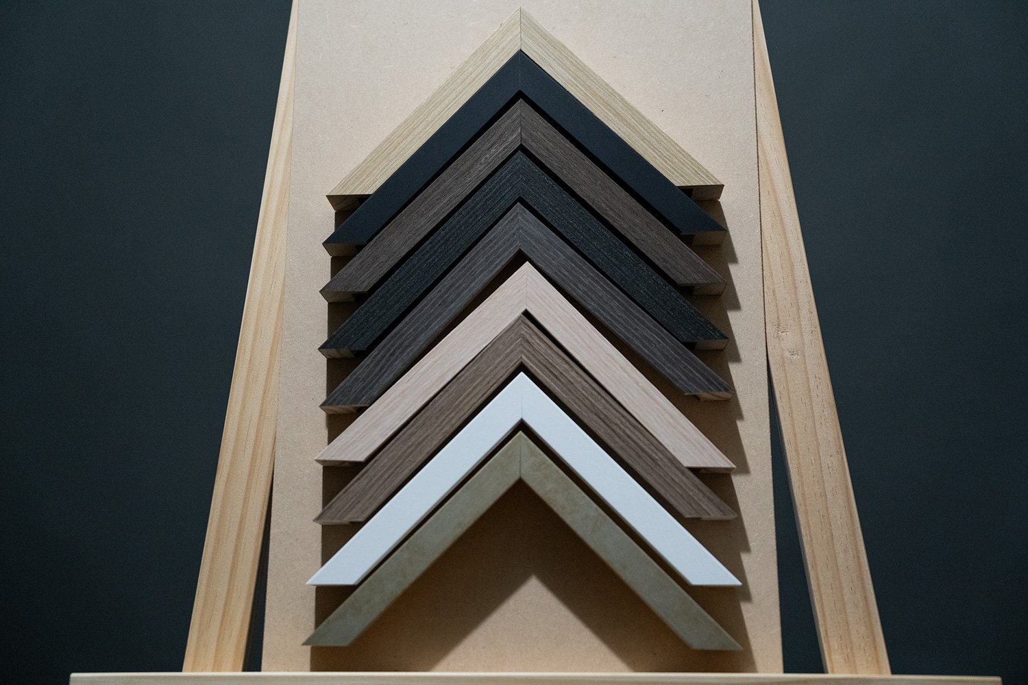 Fine art frame options for Em Boyle dog photography sessions in Wellington