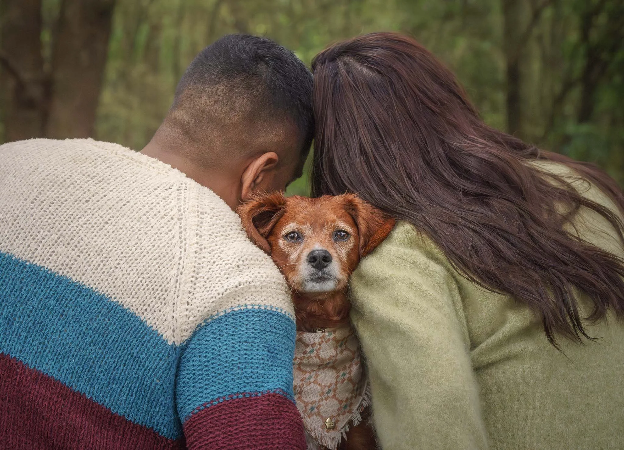 Dog portrait of a Cavoodle looking at the camera through a gap between its two owners backs in a park in Wellington - Em Boyle Photography 