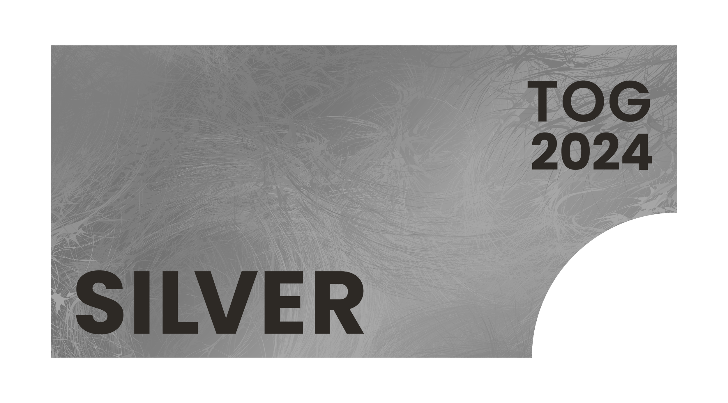 The_TOG Awards 2024 - Silver Dark.png