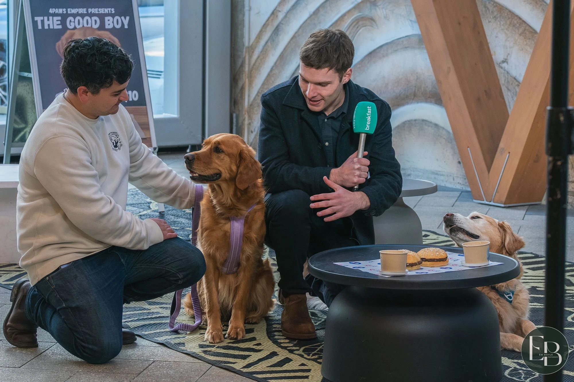 2500811 Breakfast 4 Paws-6.jpg