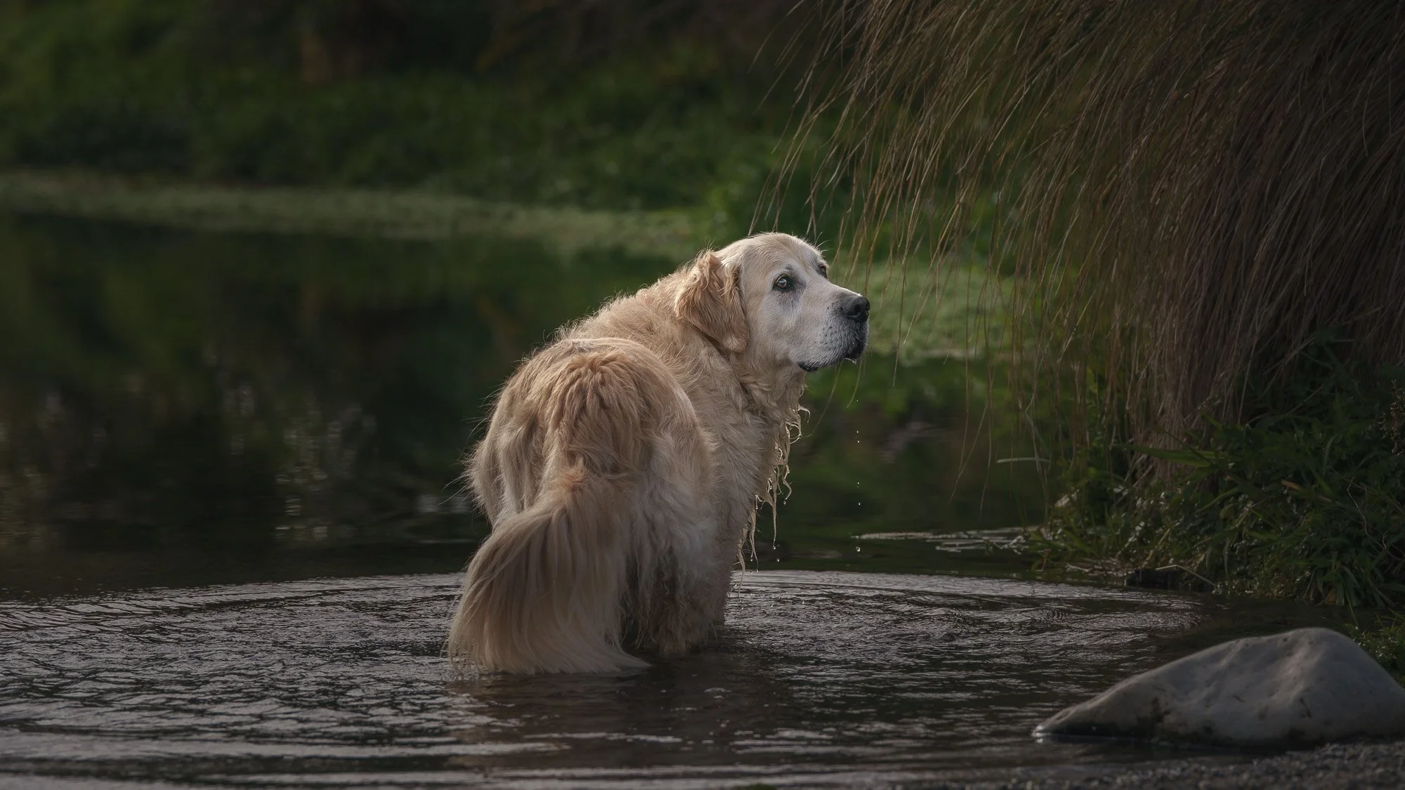 250914 RILEY - SOCIAL-3.jpg