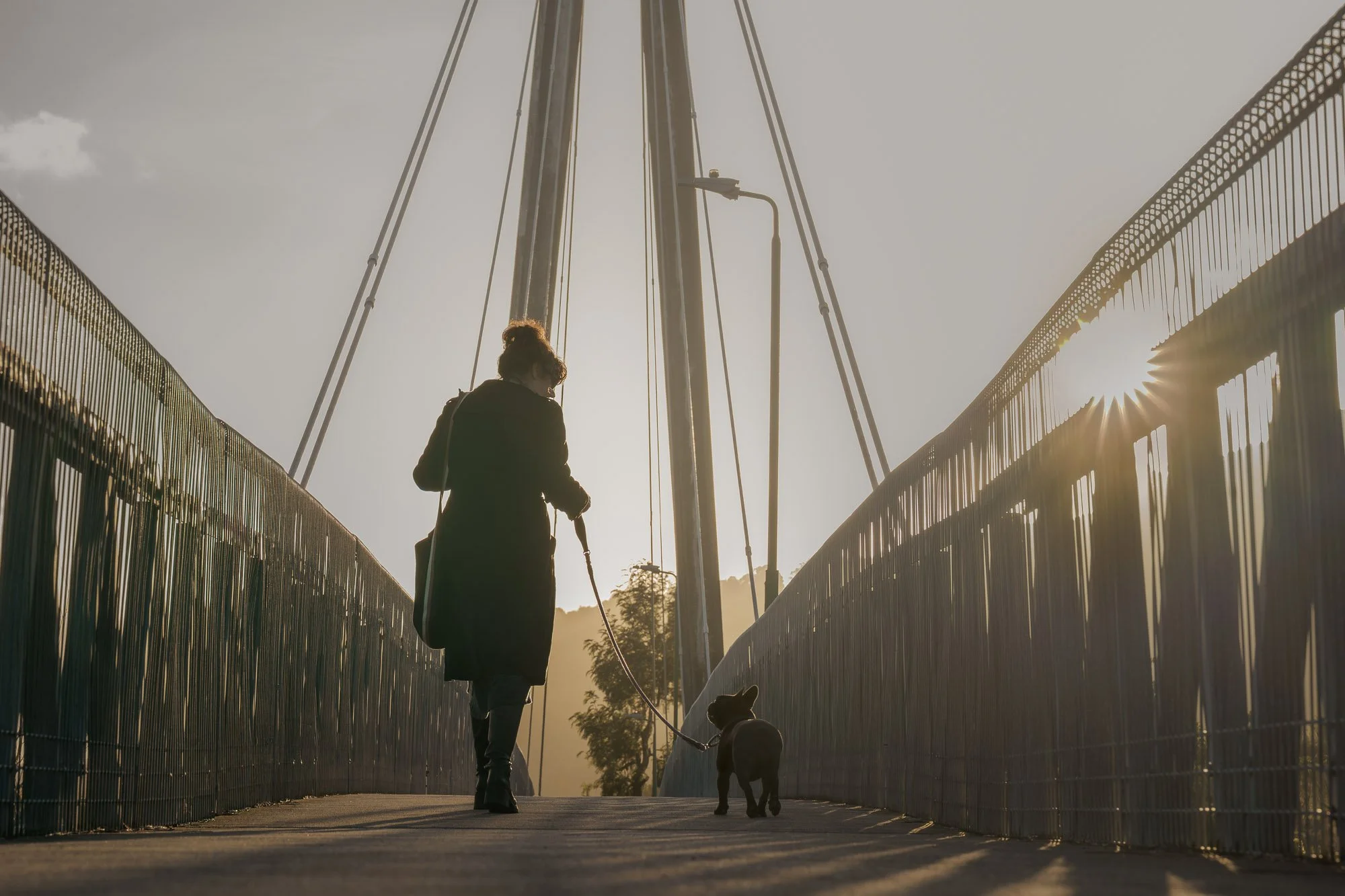 Dog photography of owner and french bulldog walking across bridge in Upper Hutt at golden hour