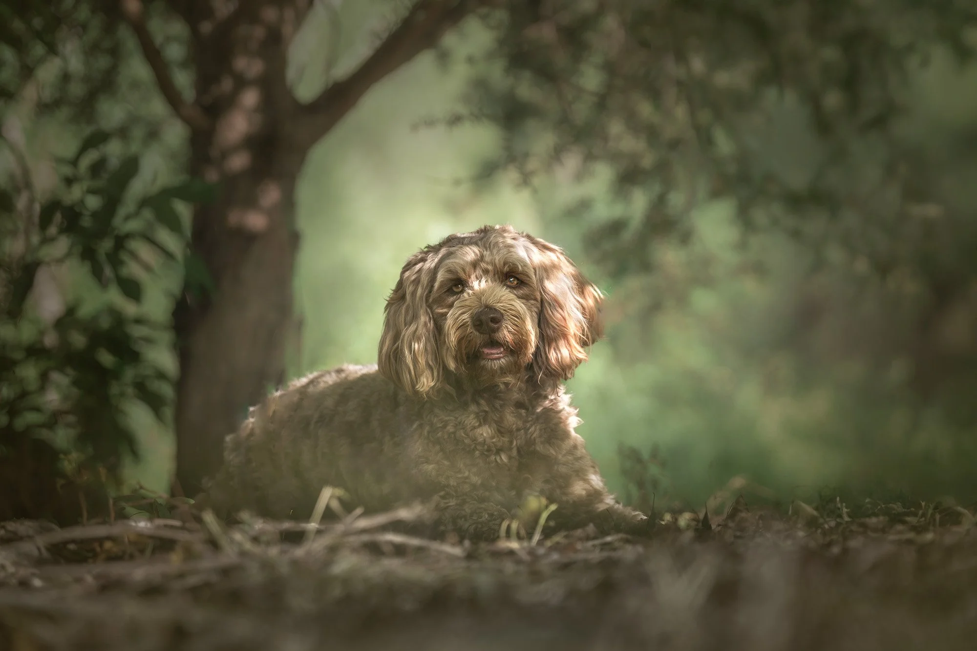 251115 Hazel - SOCIAL-2.jpg