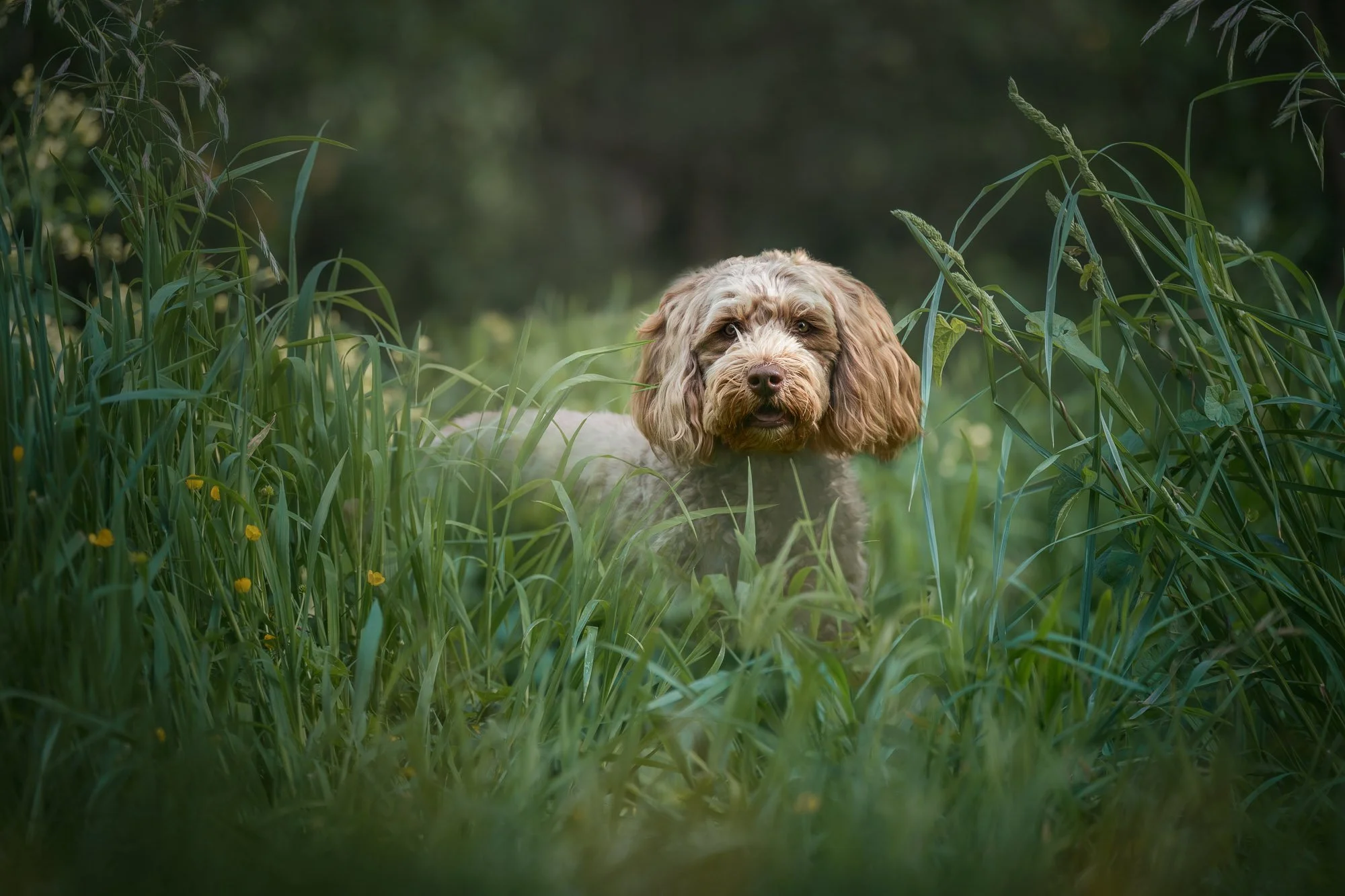 251115 Hazel - SOCIAL-1.jpg