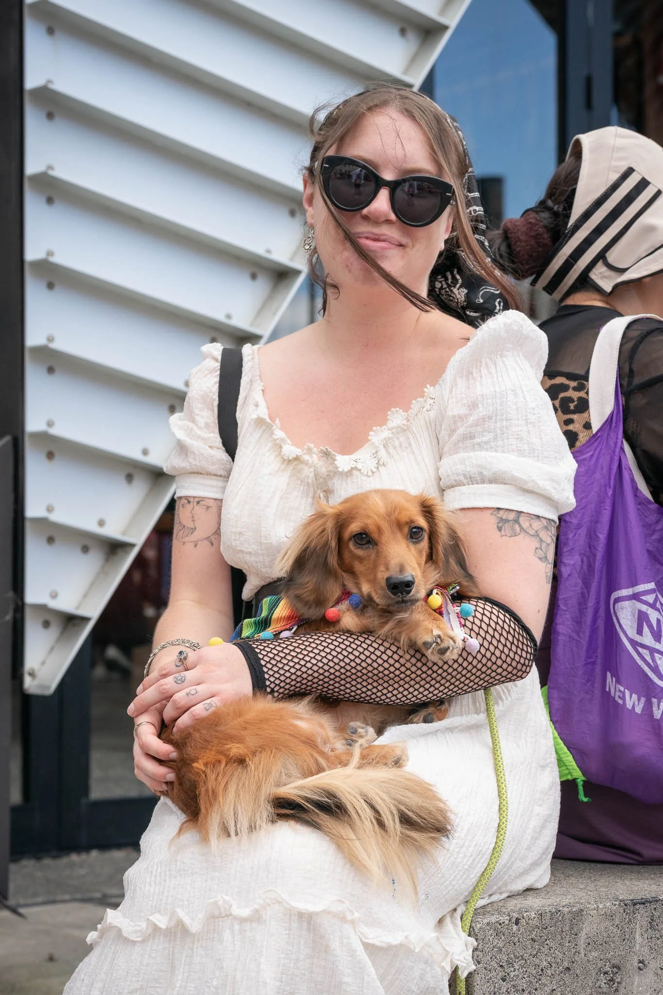 Pooches in the Plaza - Dogs in Wellington-2.jpg