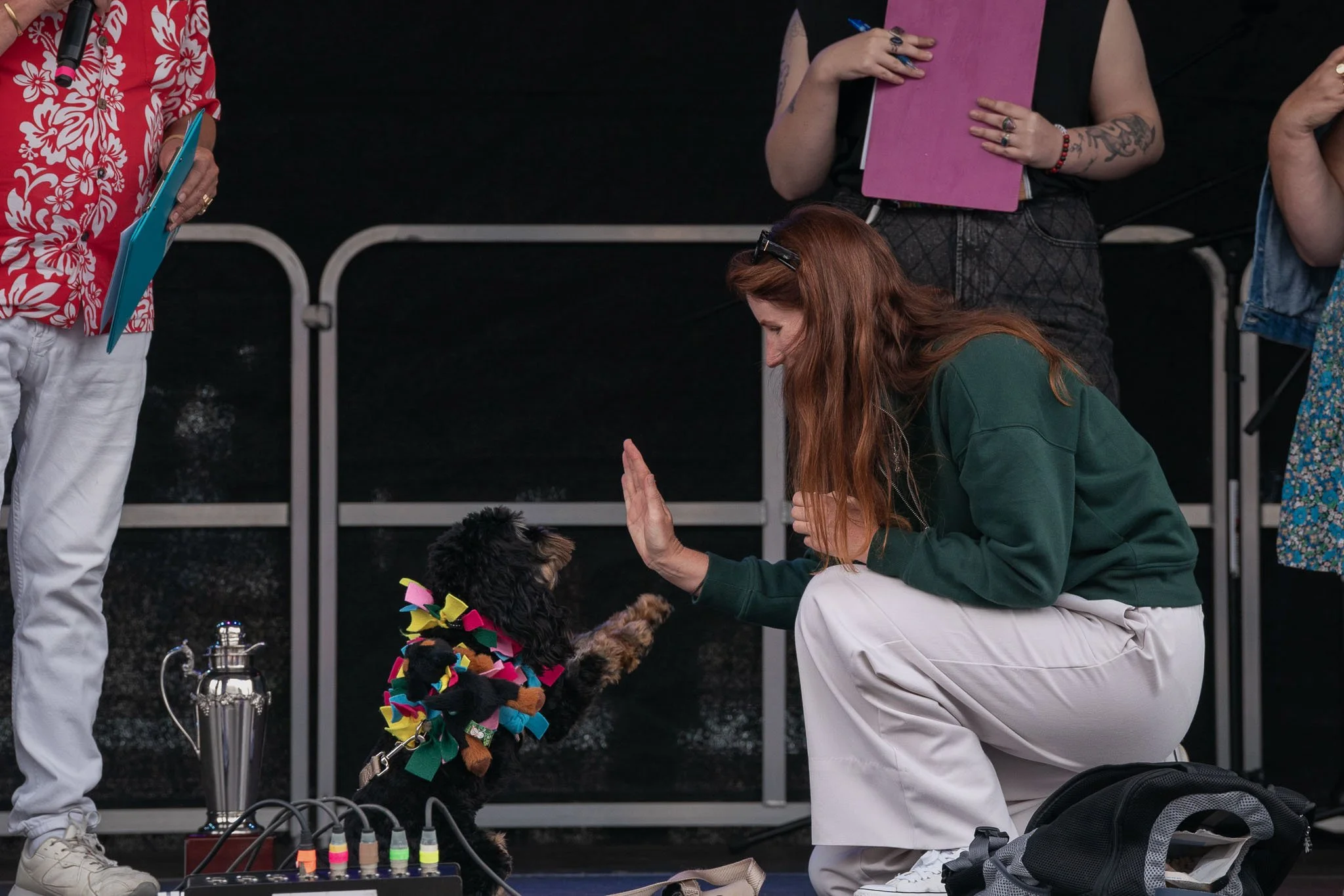 Pooches in the Plaza - Dogs in Wellington-9.jpg