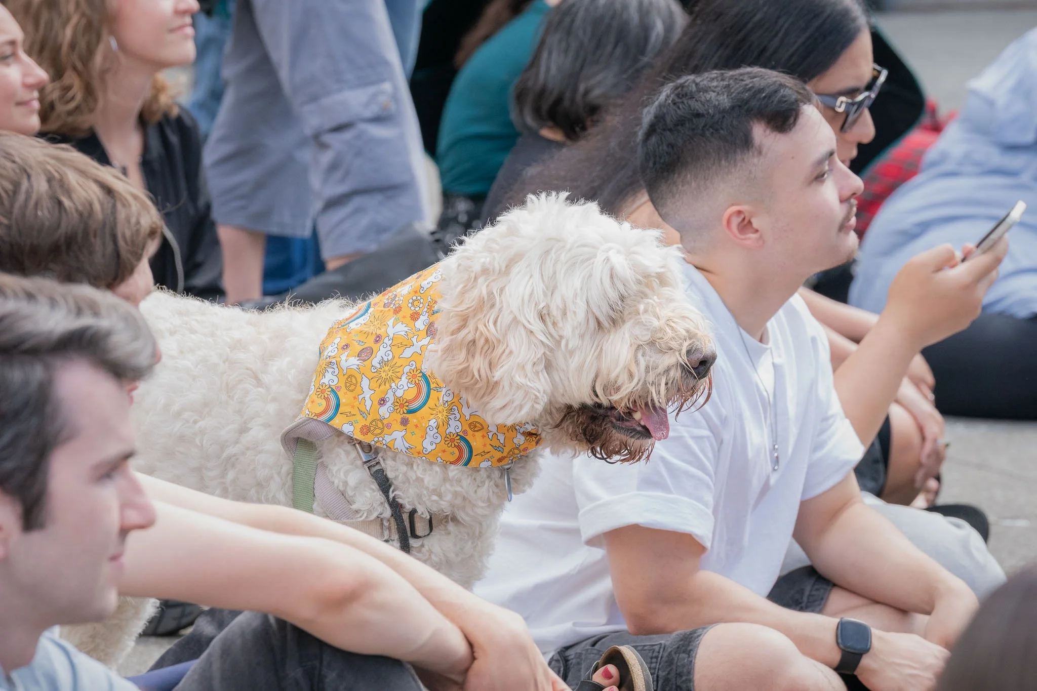 Pooches in the Plaza - Dogs in Wellington-17.jpg