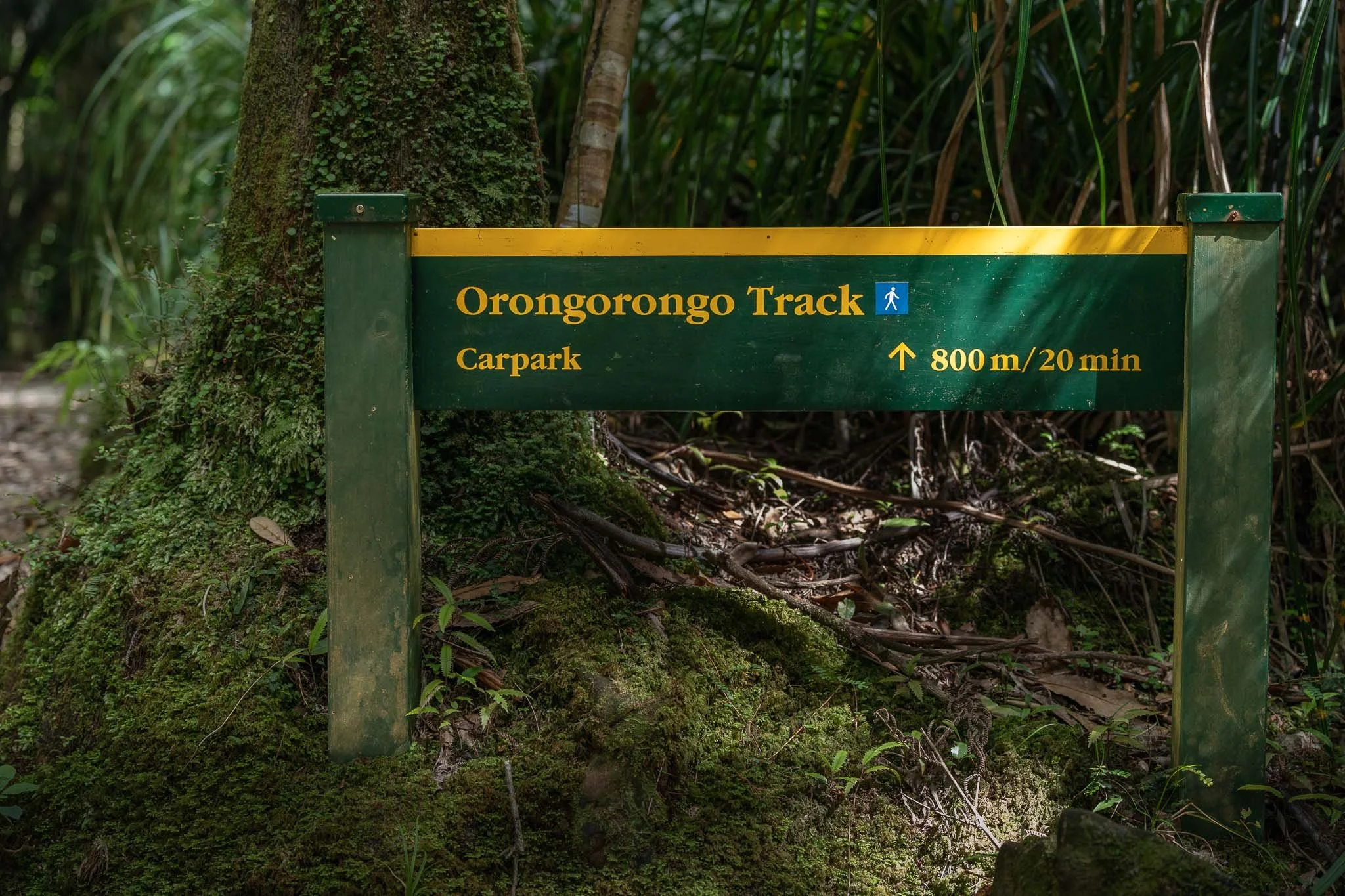 Sign in dog friendly Orongorongo Track walk in Lower Hutt