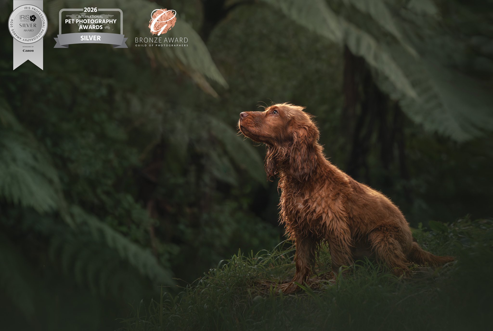 Awards Aug-14.jpg