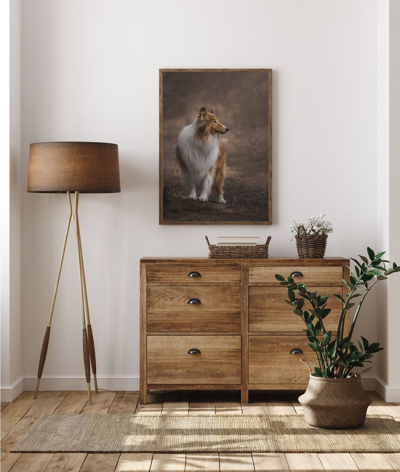 A large framed canvas tray wall art photo of a dog from a dog photography session in Lower Hutt.