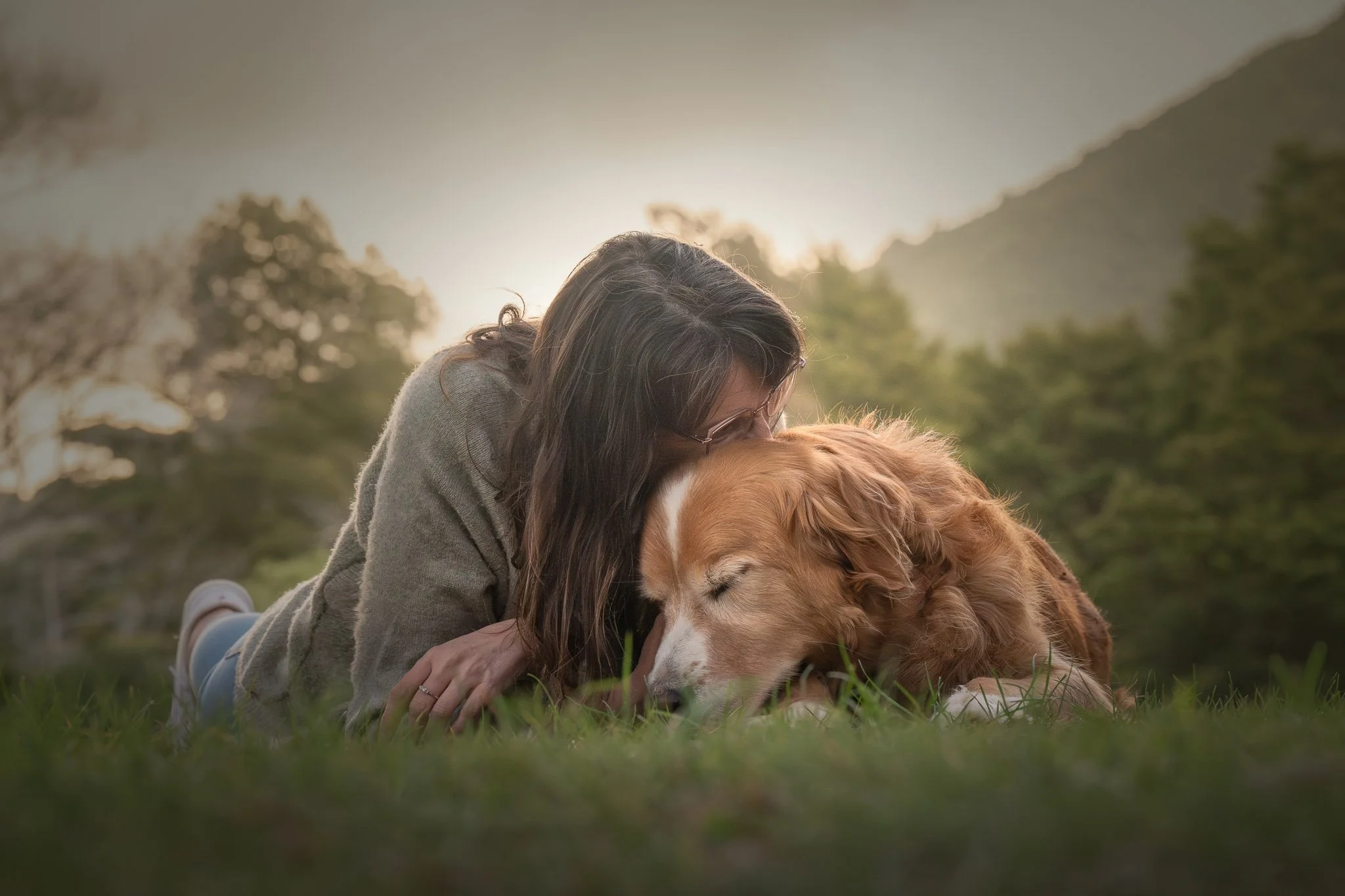 End of Life Dog Photography Wellington-4.jpg