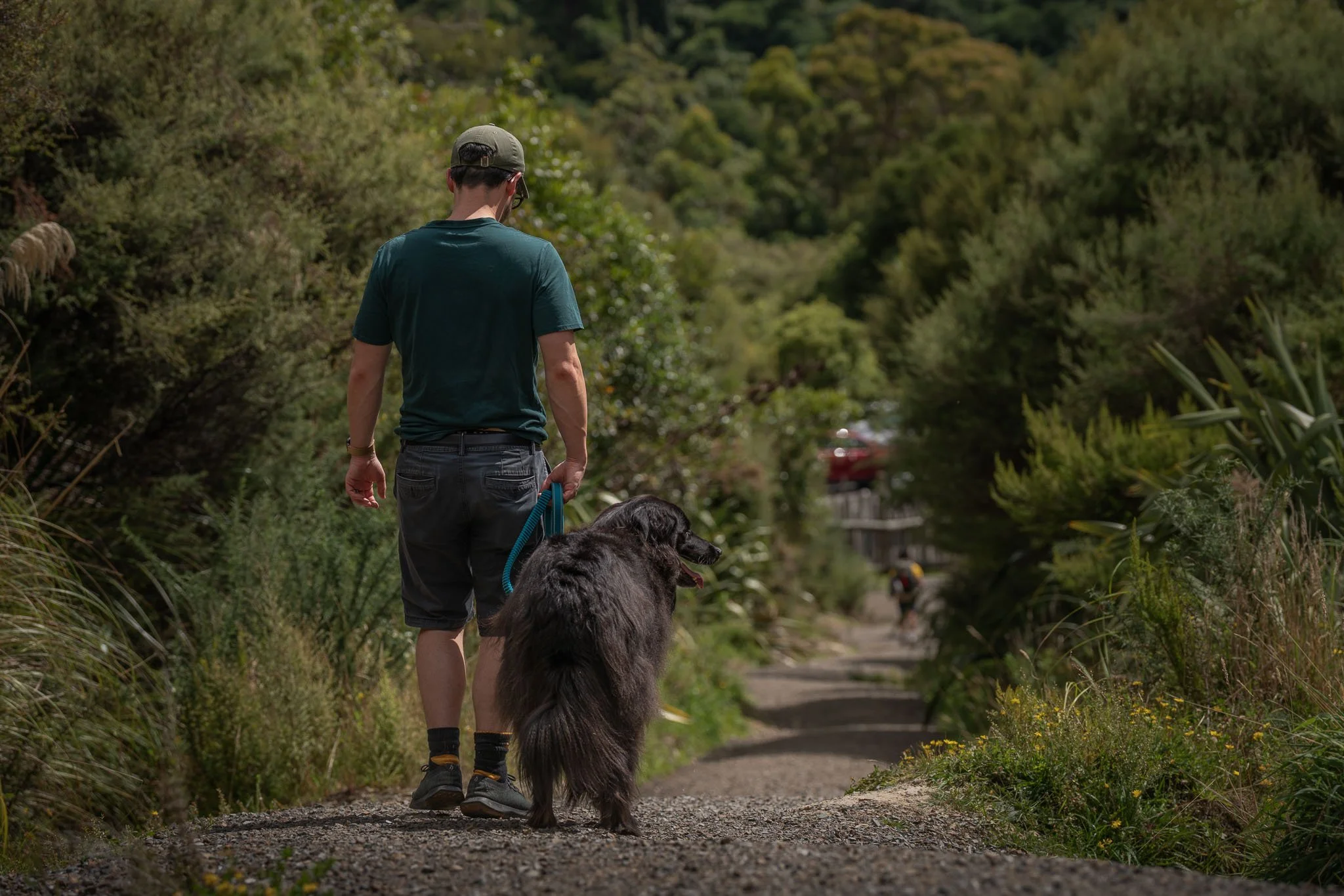 Man walks dog on lead in Orongorongo Valley Catchpool Track in Lower Hutt