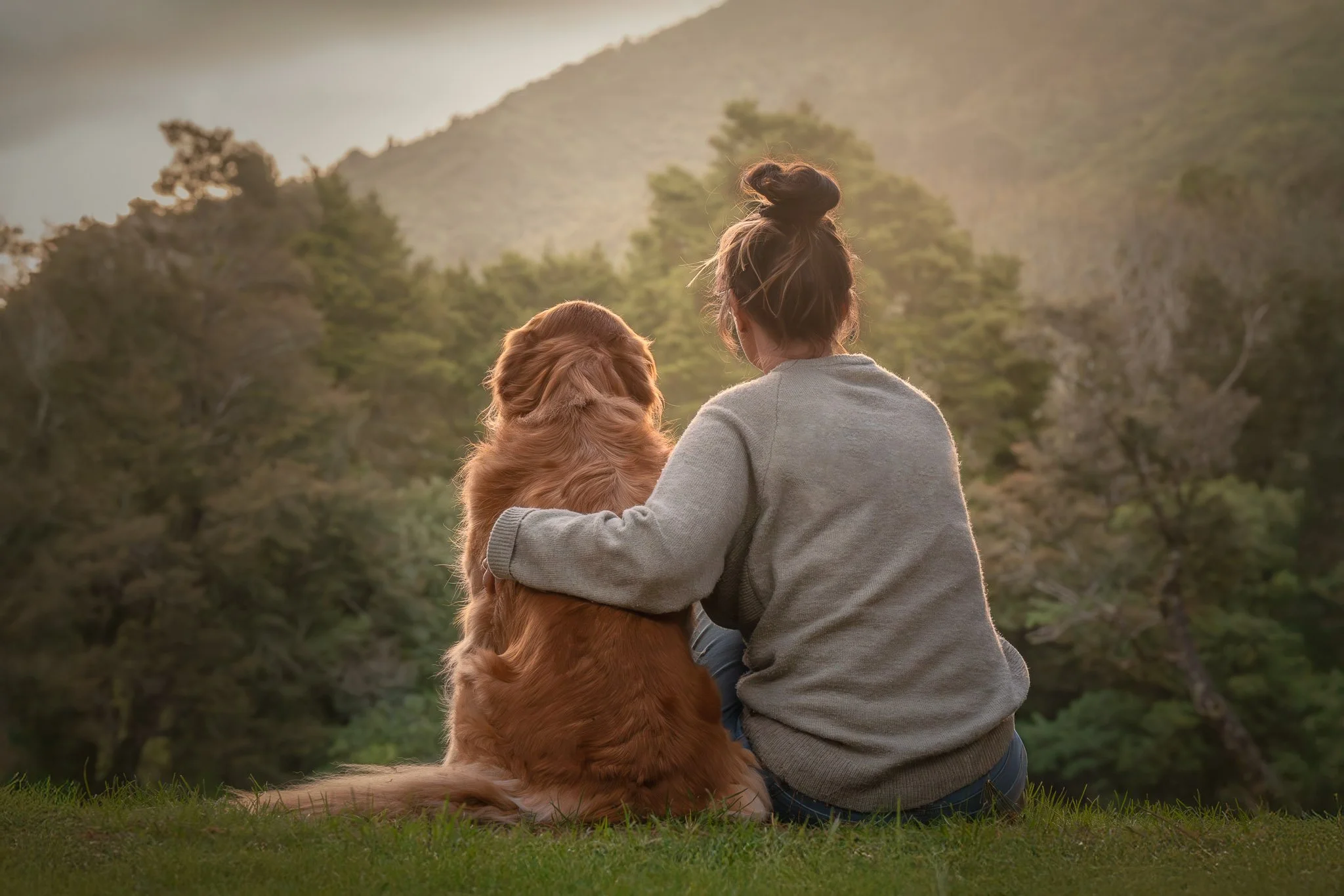 End of Life Dog Photography Wellington-5.jpg