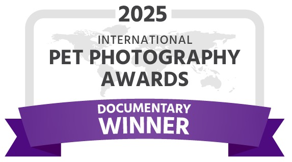 IPPA-2025-winner-documentary-dark.png