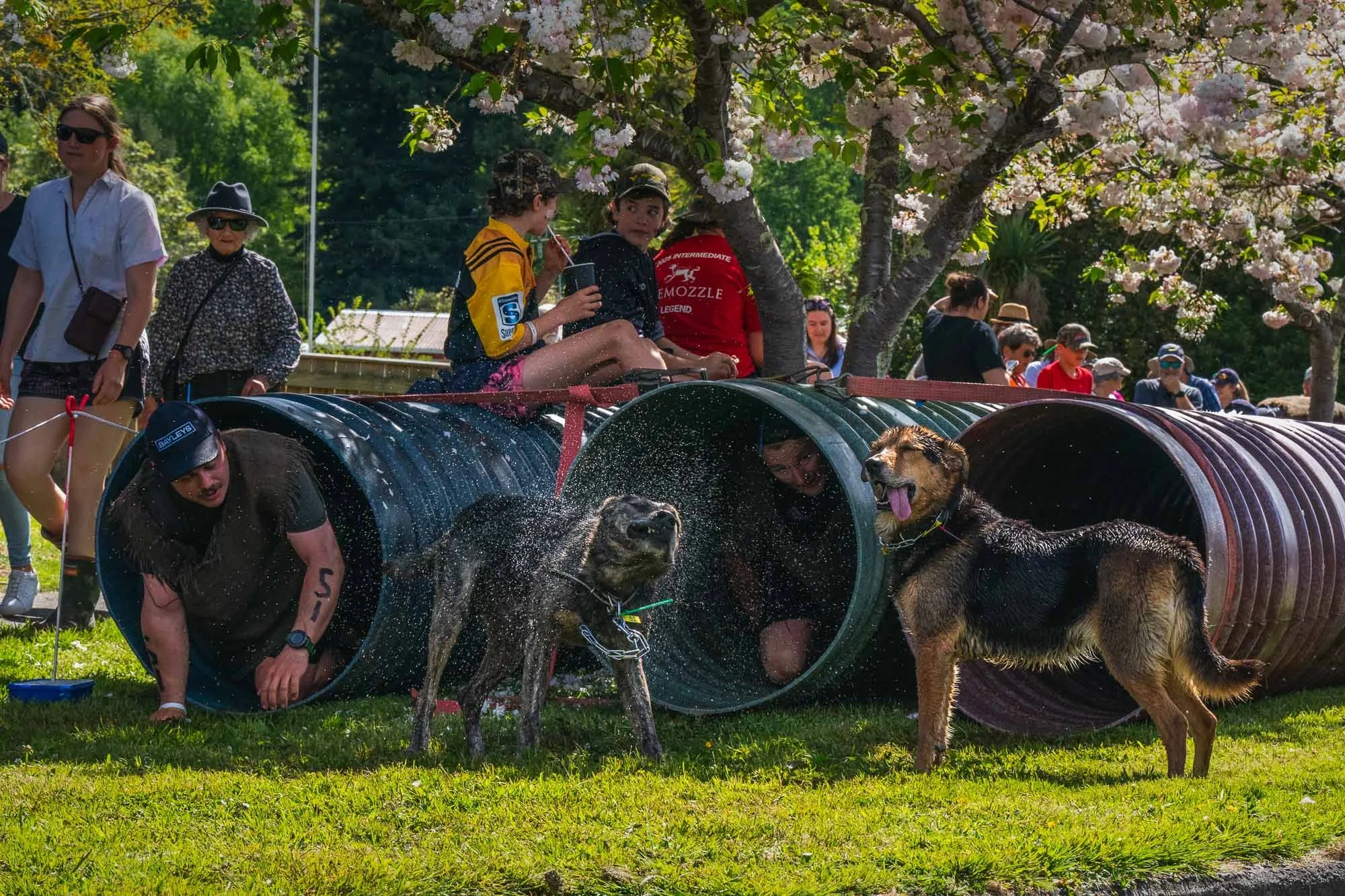 Shemozzle Blog-15.jpg