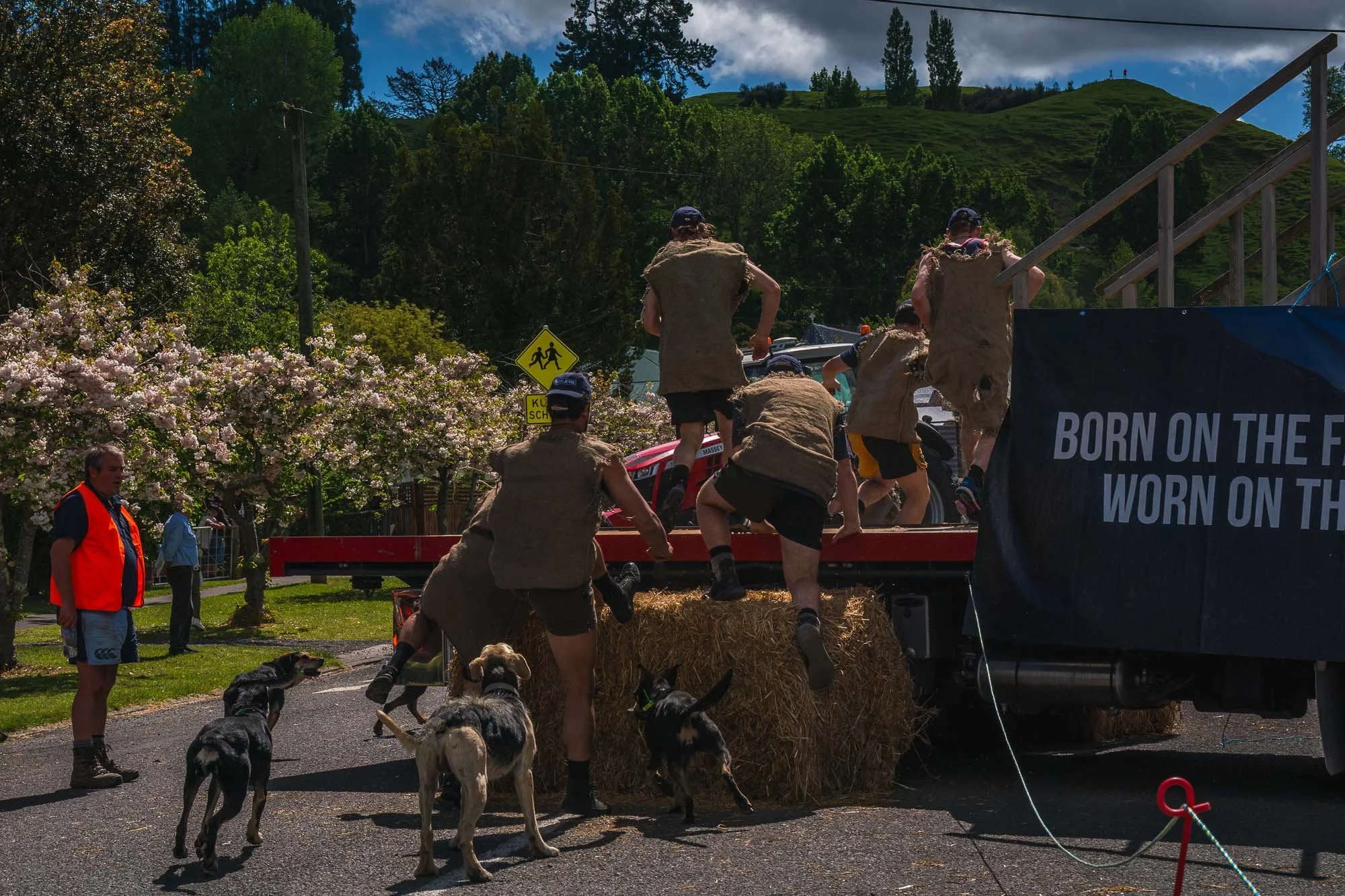 Shemozzle Blog-7.jpg