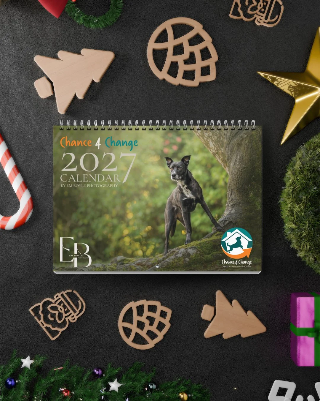 Paws Project 2027 Calendar.jpg