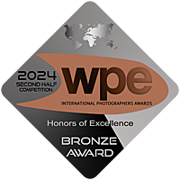 Bronze WPE 2H 2024.png