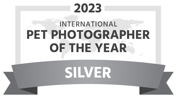 PPOTY Silver.png