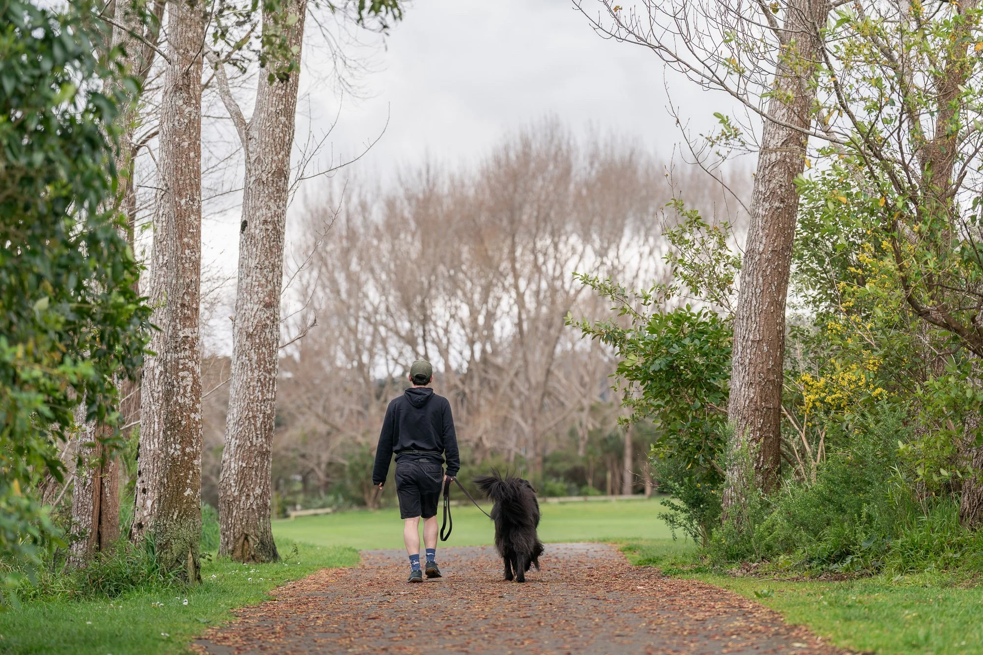 Man walks dog along dog friendly River Trail walk in Lower Hutt