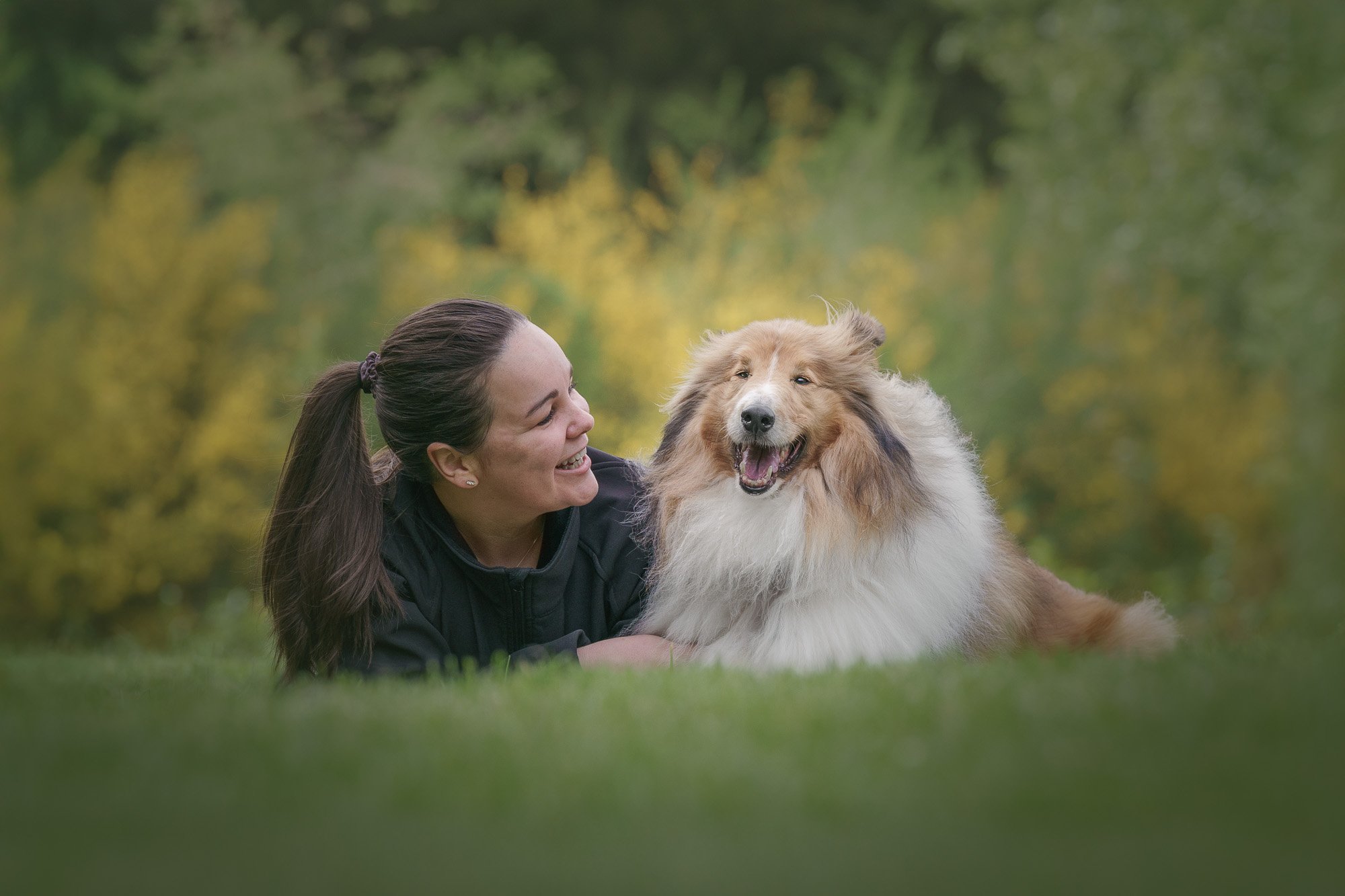 Em Boyle and her rough collie on a field in as a fine art dog photography portrait in Wellington