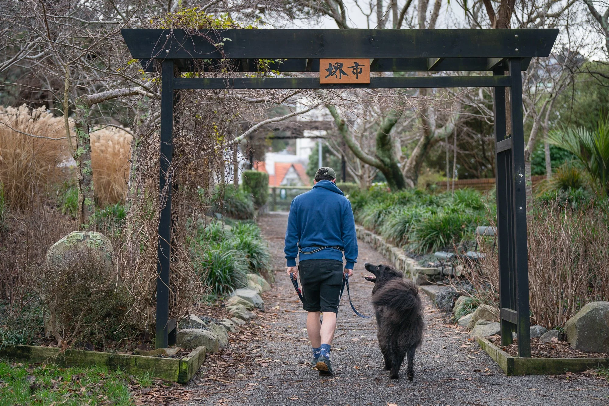 Top 10 Dog Friendly Walks in Wellington