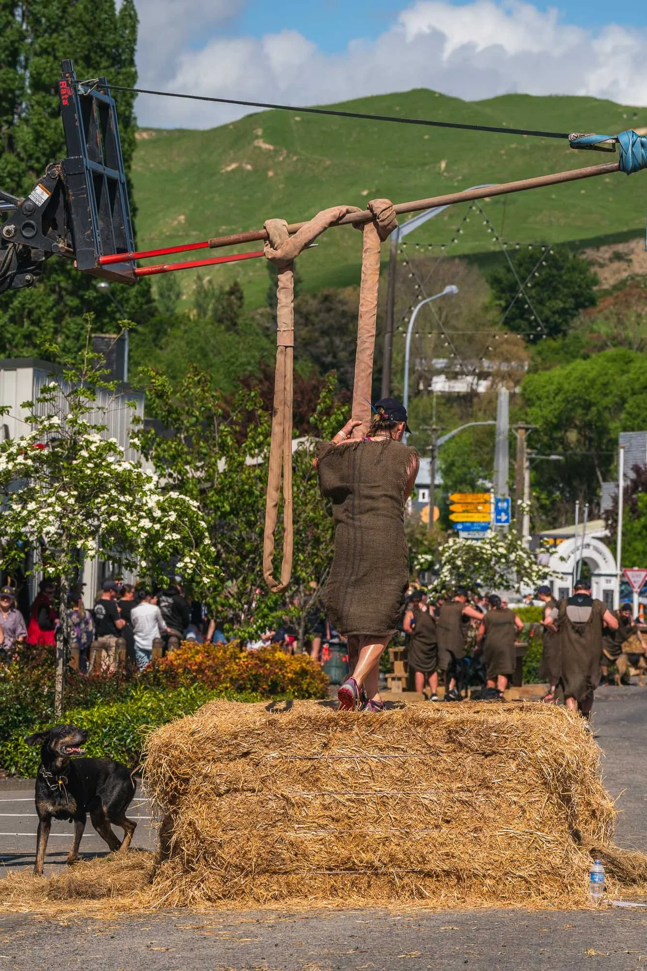 Shemozzle Blog-20.jpg