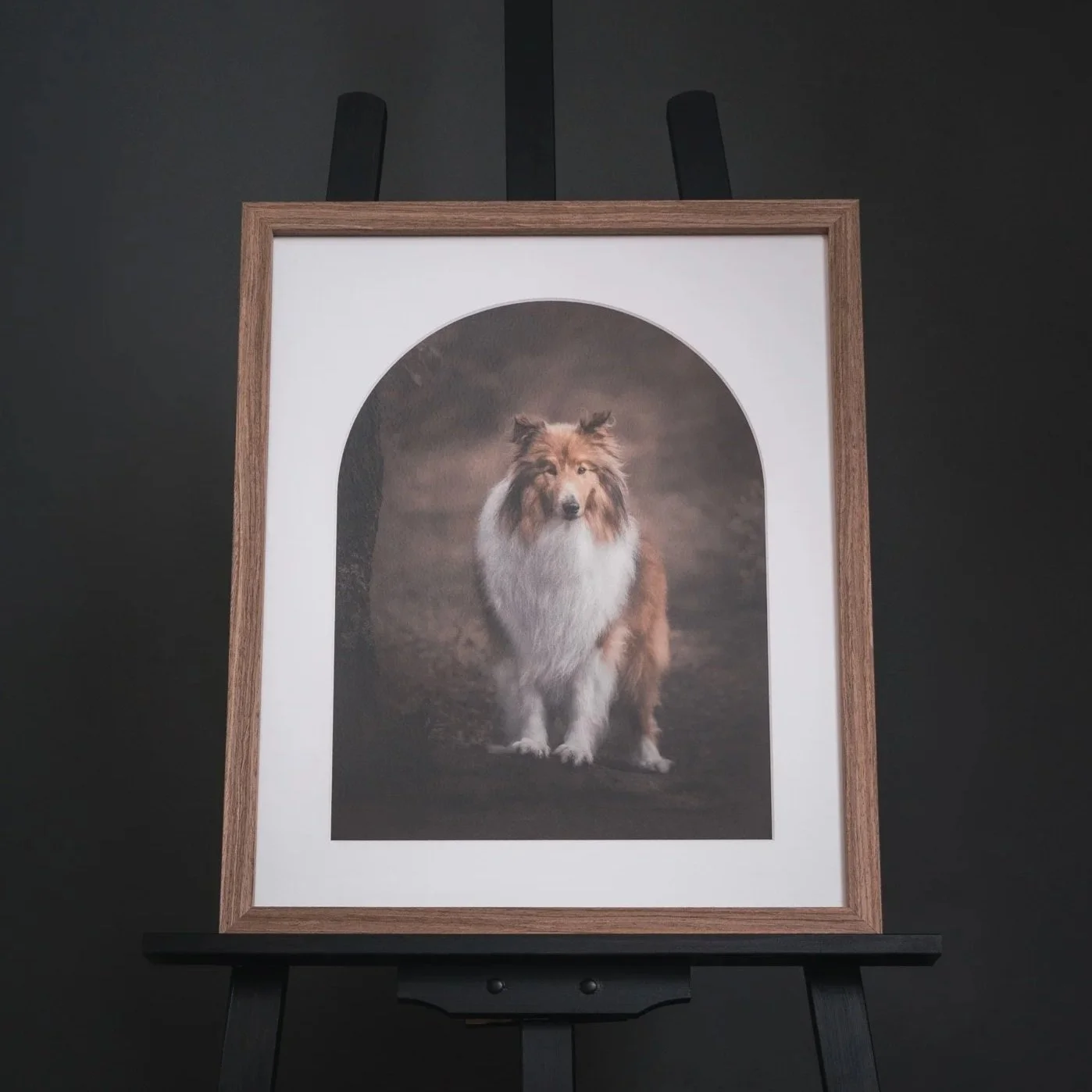 Pet photography framed print of a dog in the forest in Upper Hutt