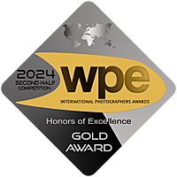Gold WPE 2H 2024.png