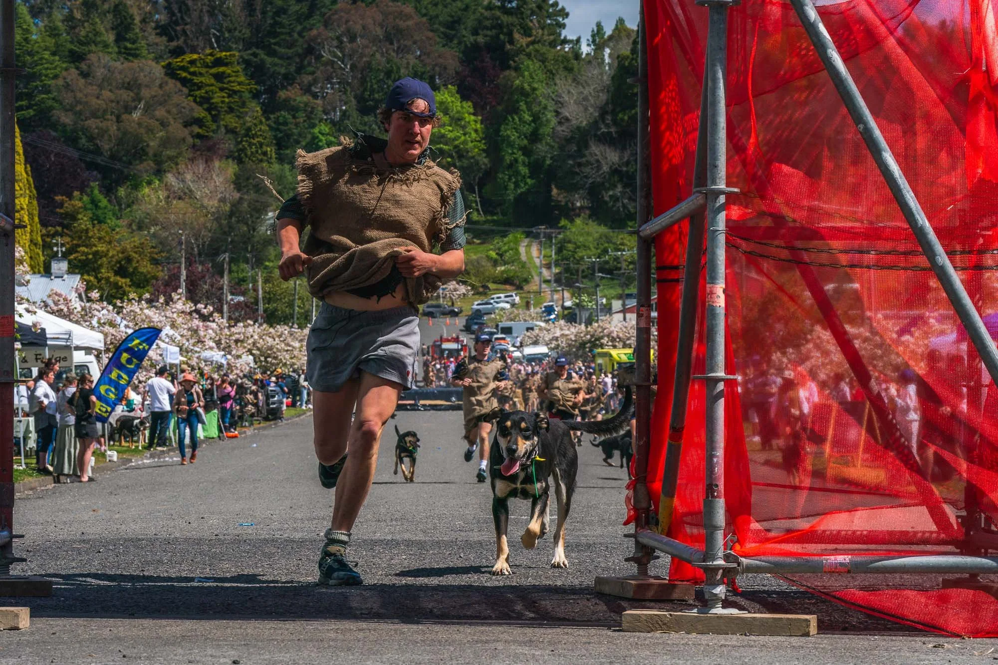 Shemozzle Blog-6.jpg