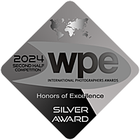 Silver WPE 2H 2024.png