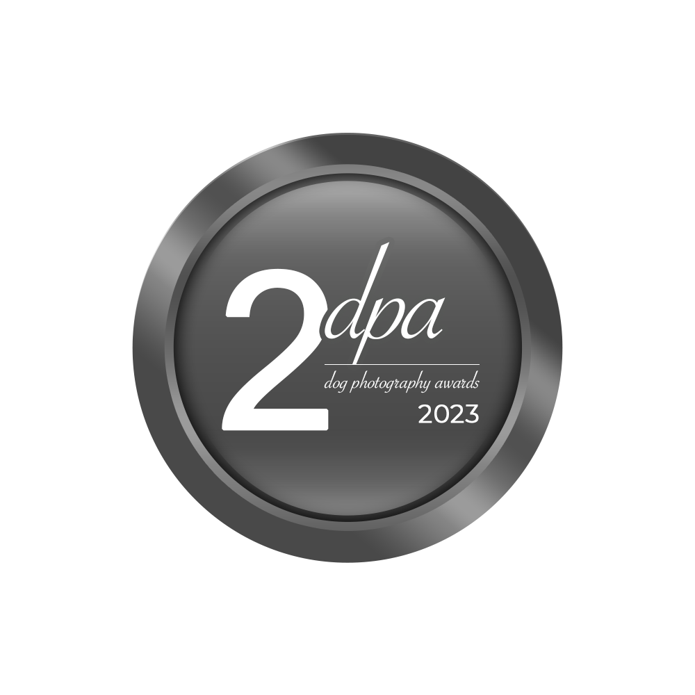 DPA 2nd place badge.png