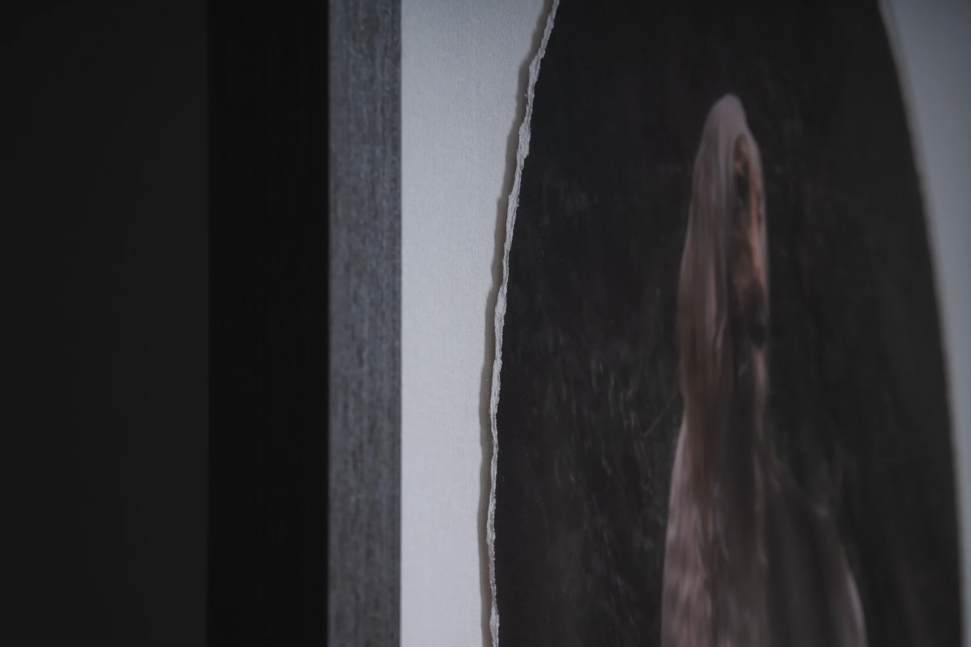 Close up of a fine art dog photography print with hand torn edge in an Italian hardwood frame by Em Boyle Photography