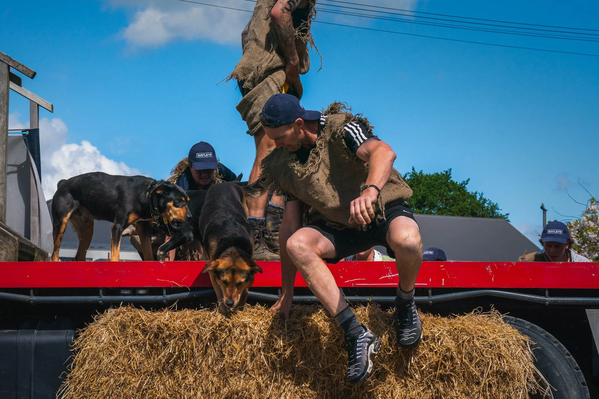 Shemozzle Blog-8.jpg