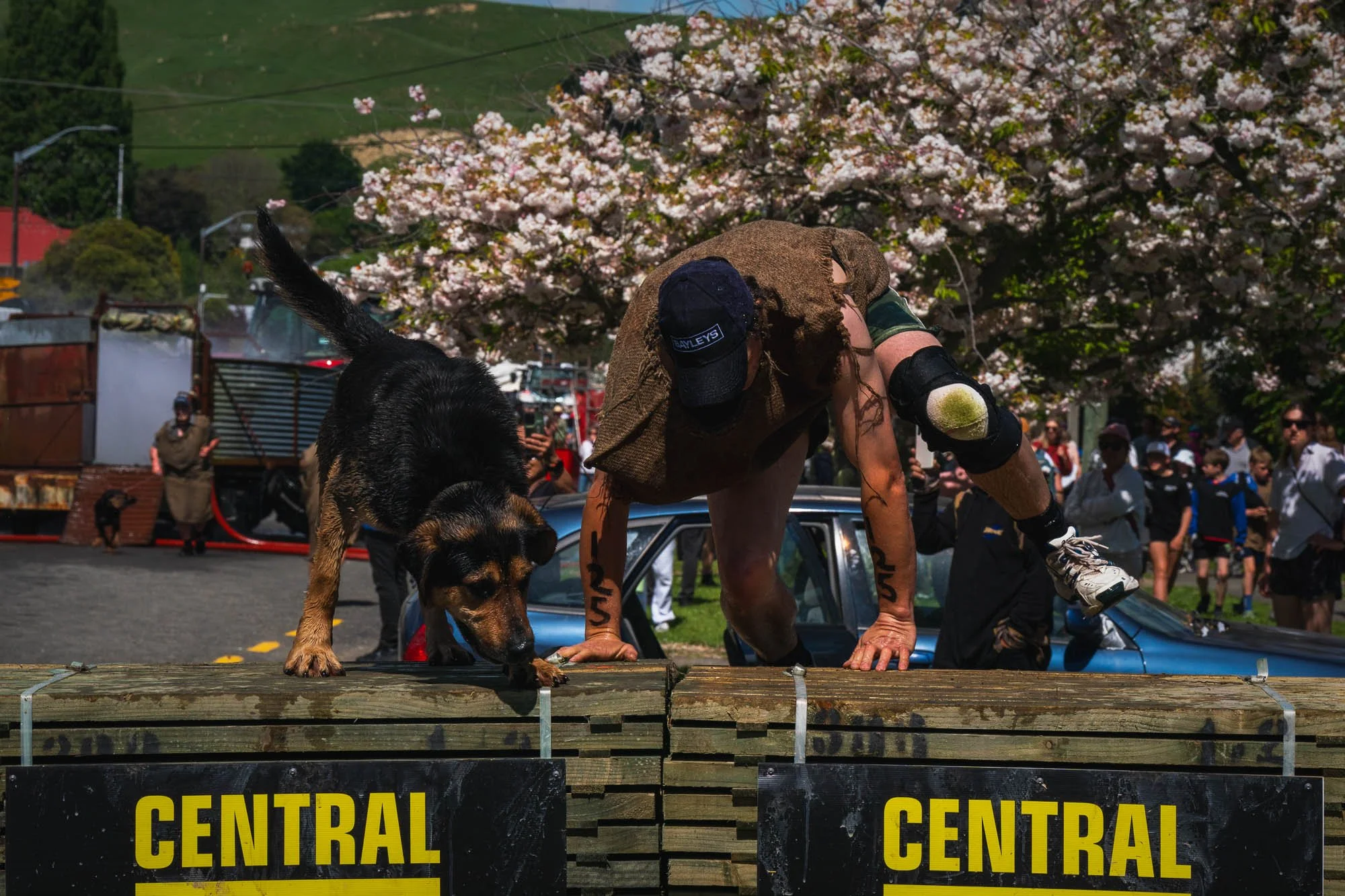 Shemozzle Blog-10.jpg