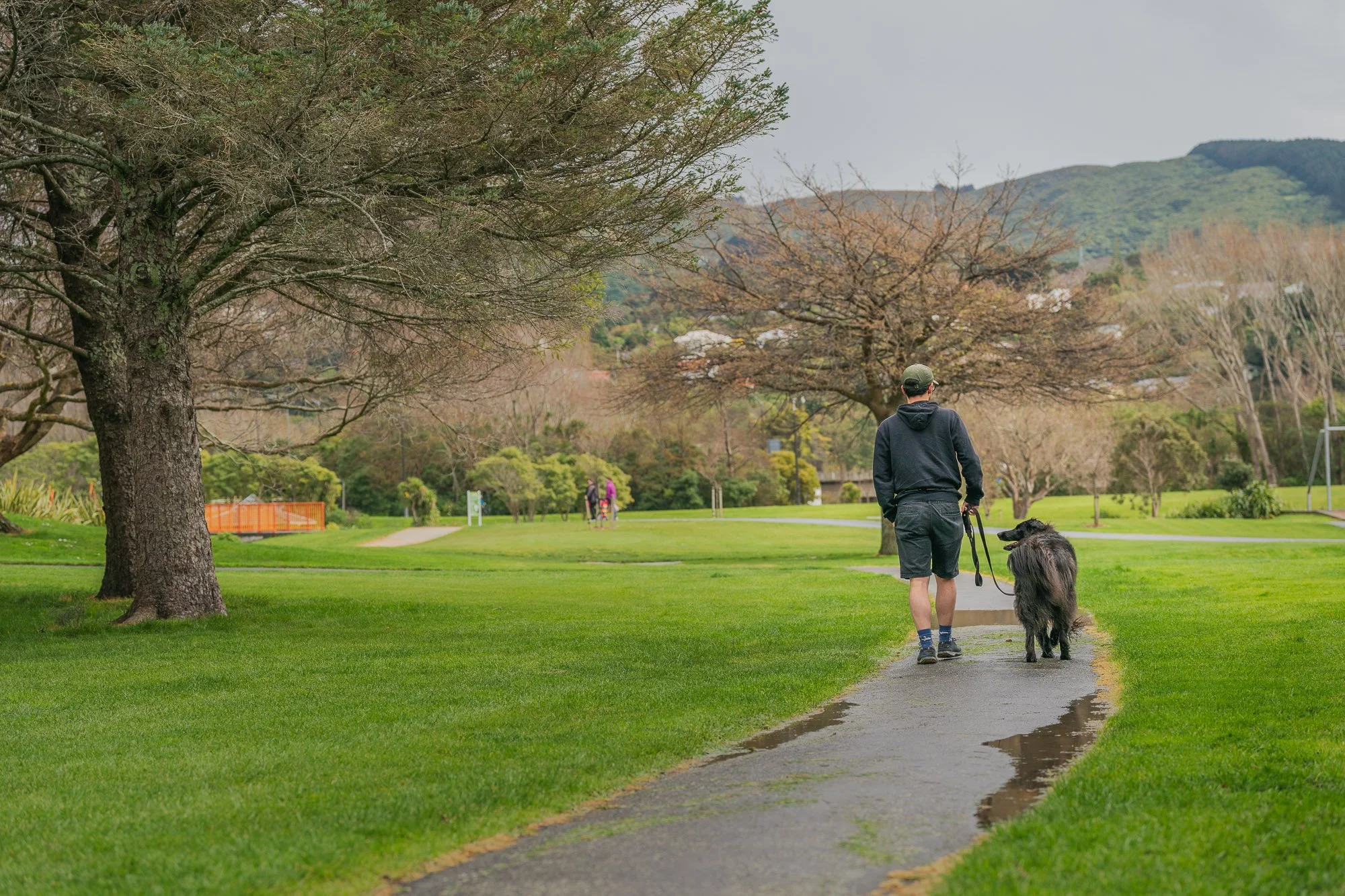 Man walks dog through Avalon Park in Lower Hutt