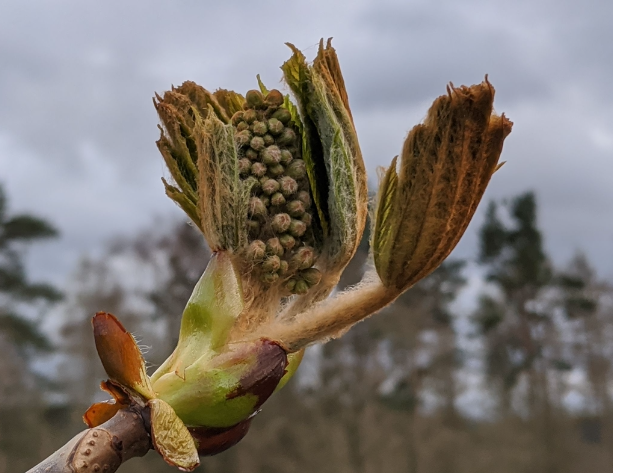 Screenshot 2026-03-05 at 14.47.02.png