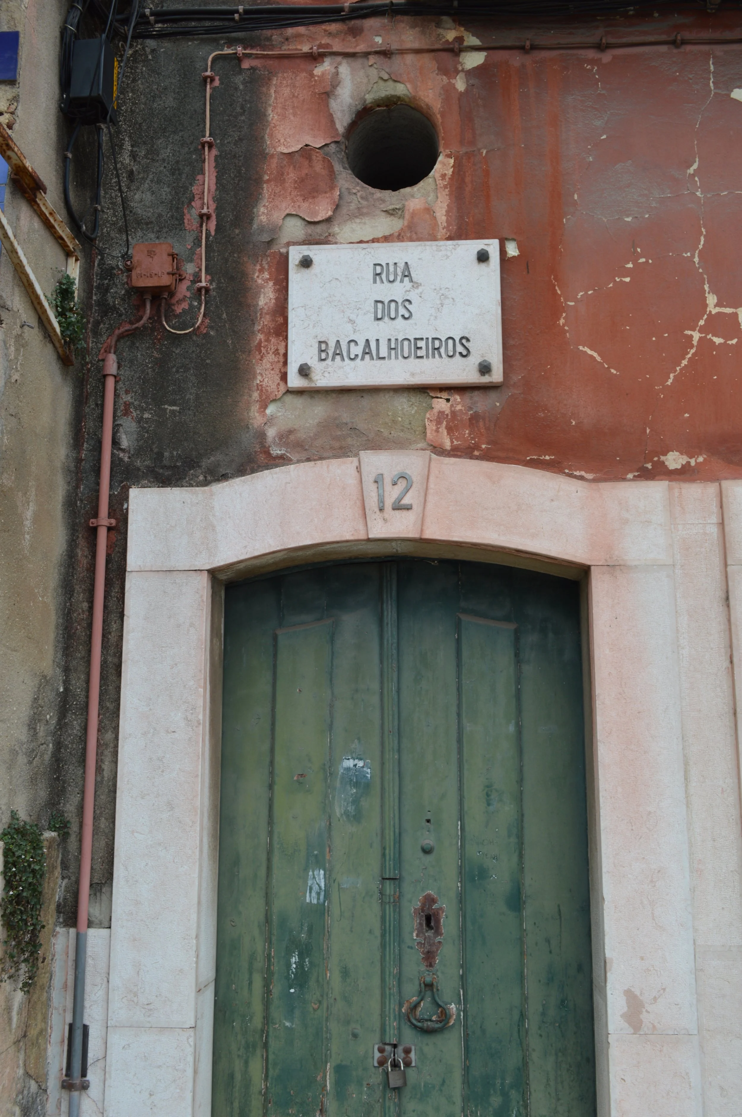 DSC_0099 3.JPG