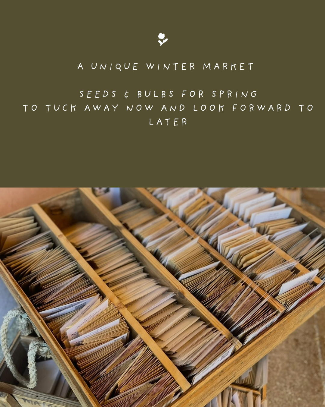 A wooden display case filled with labeled seed packets for spring planting, serving as a winter market display for seeds and bulbs.