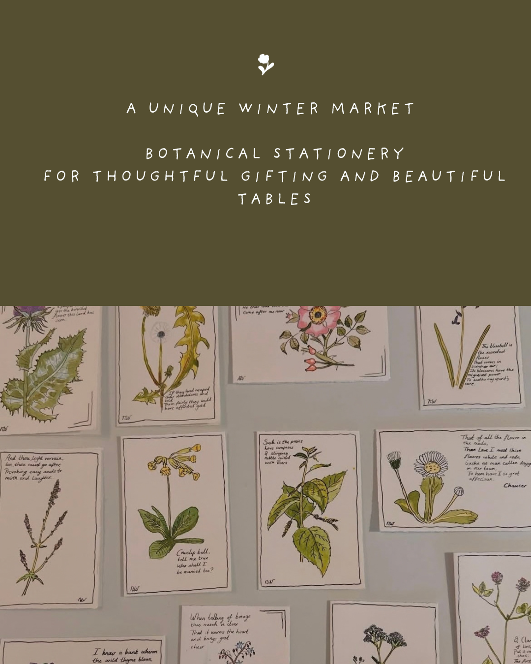 Display of botanical illustrations on cards with handwritten notes, part of a botanical stationery display at winter market.
