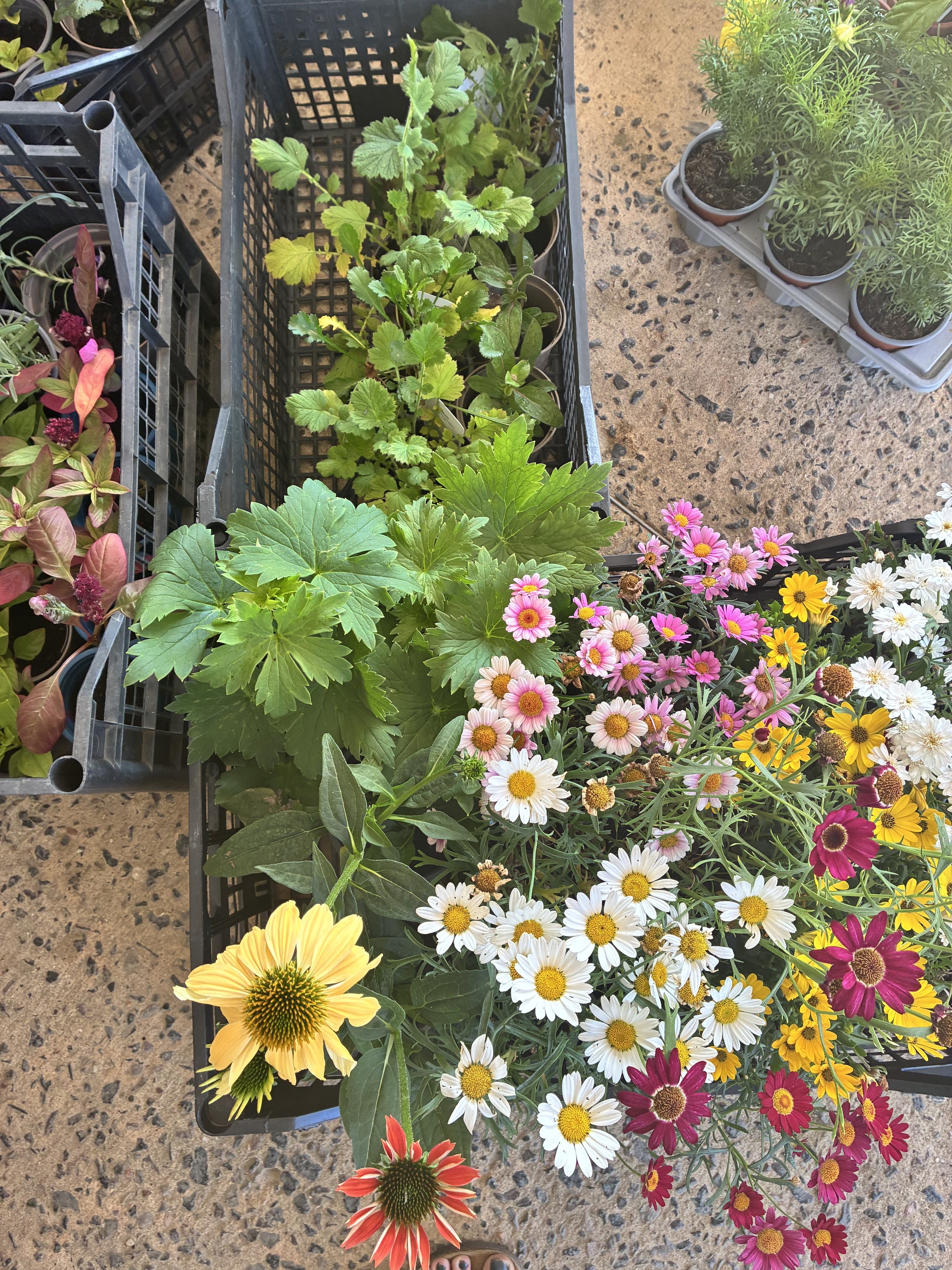 IMG_0855.jpeg