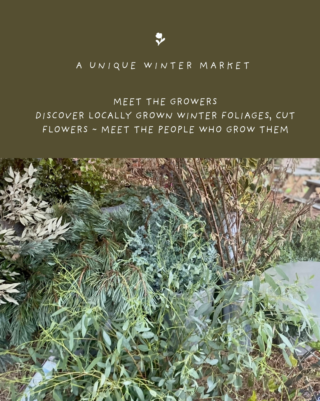 Display of winter foliage and greenery at a market, with a text overlay promoting a winter market featuring locally grown winter foliage and cut flowers.