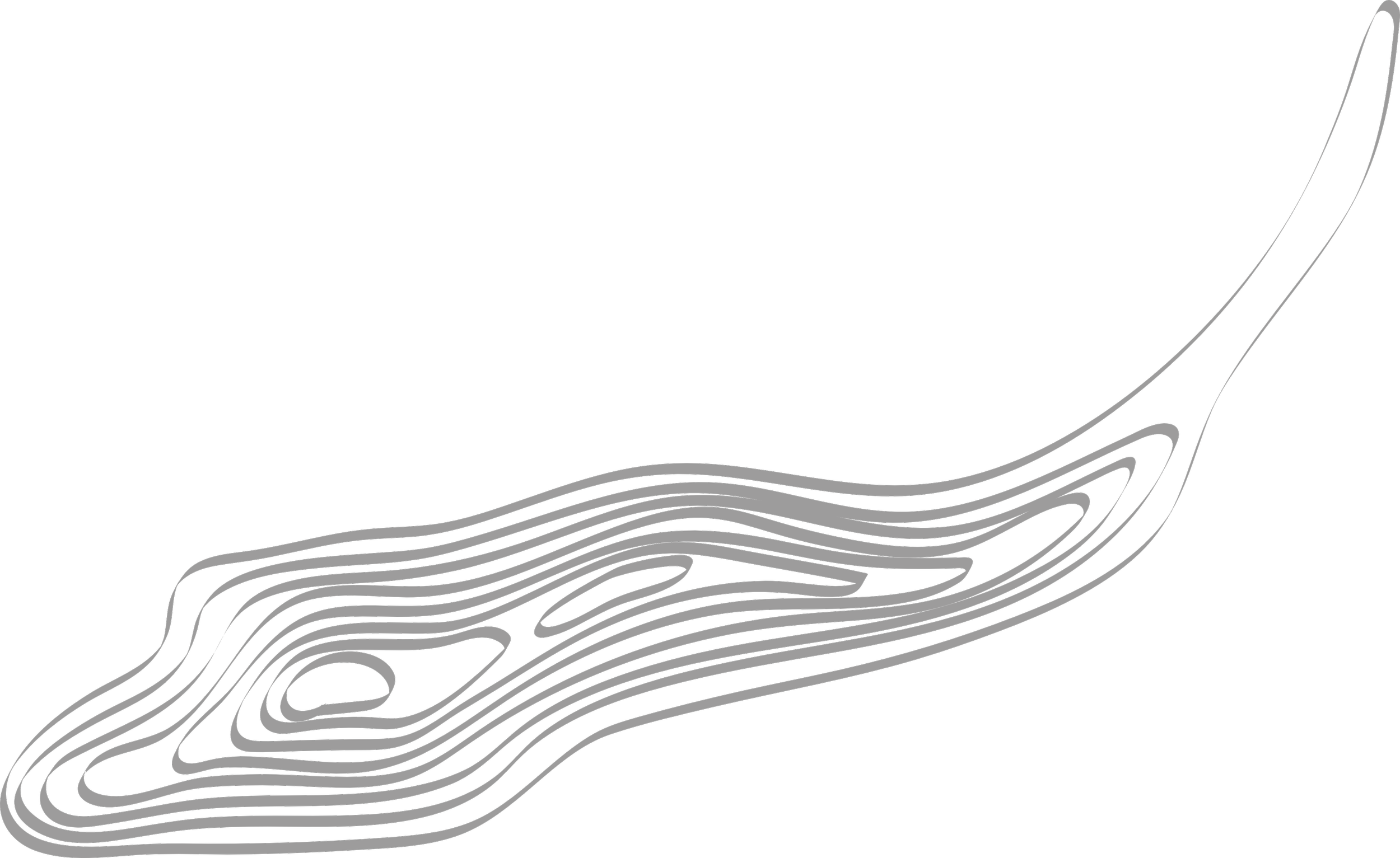 Black background with a pattern of curved, overlapping gray lines in the bottom right corner.