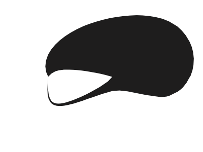 Silhouette of a bird's head in profile, facing left.