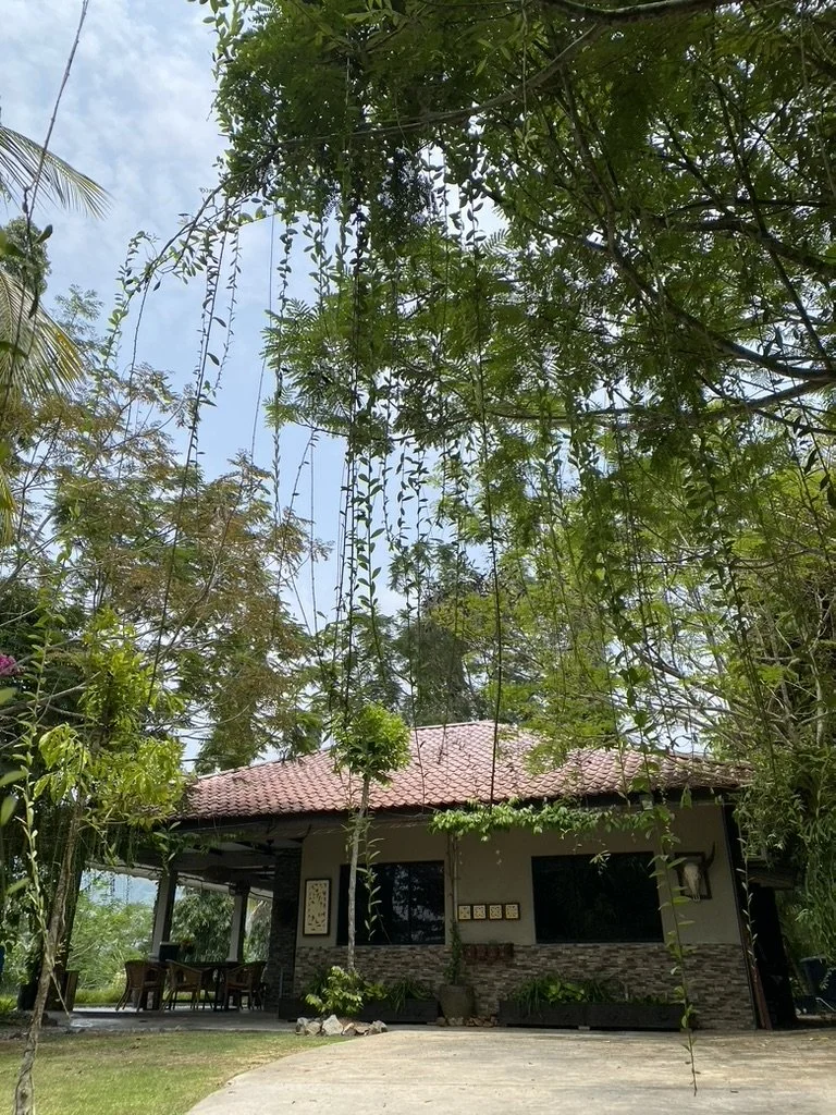 Hillside Villa