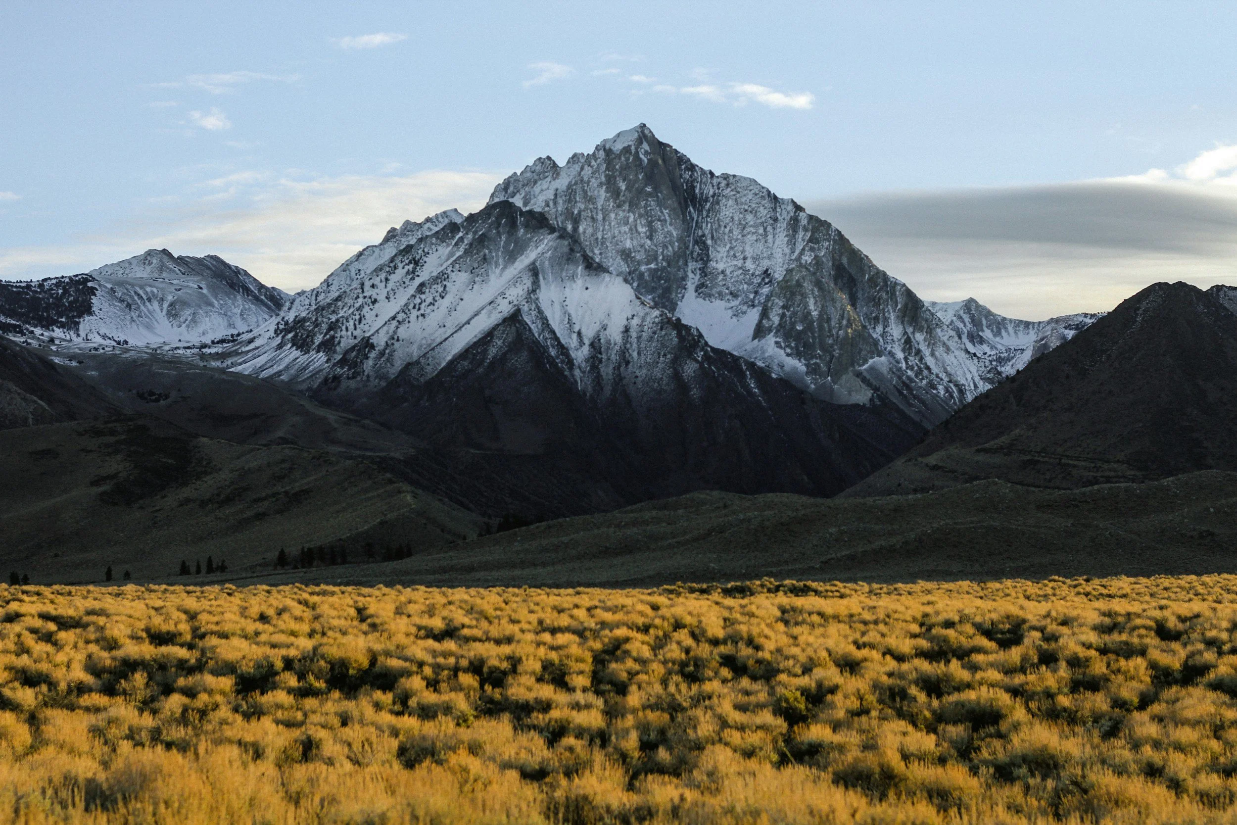 Snow-capped mountain range with a yellow shrub-filled valley in the foreground under a partly cloudy sky.