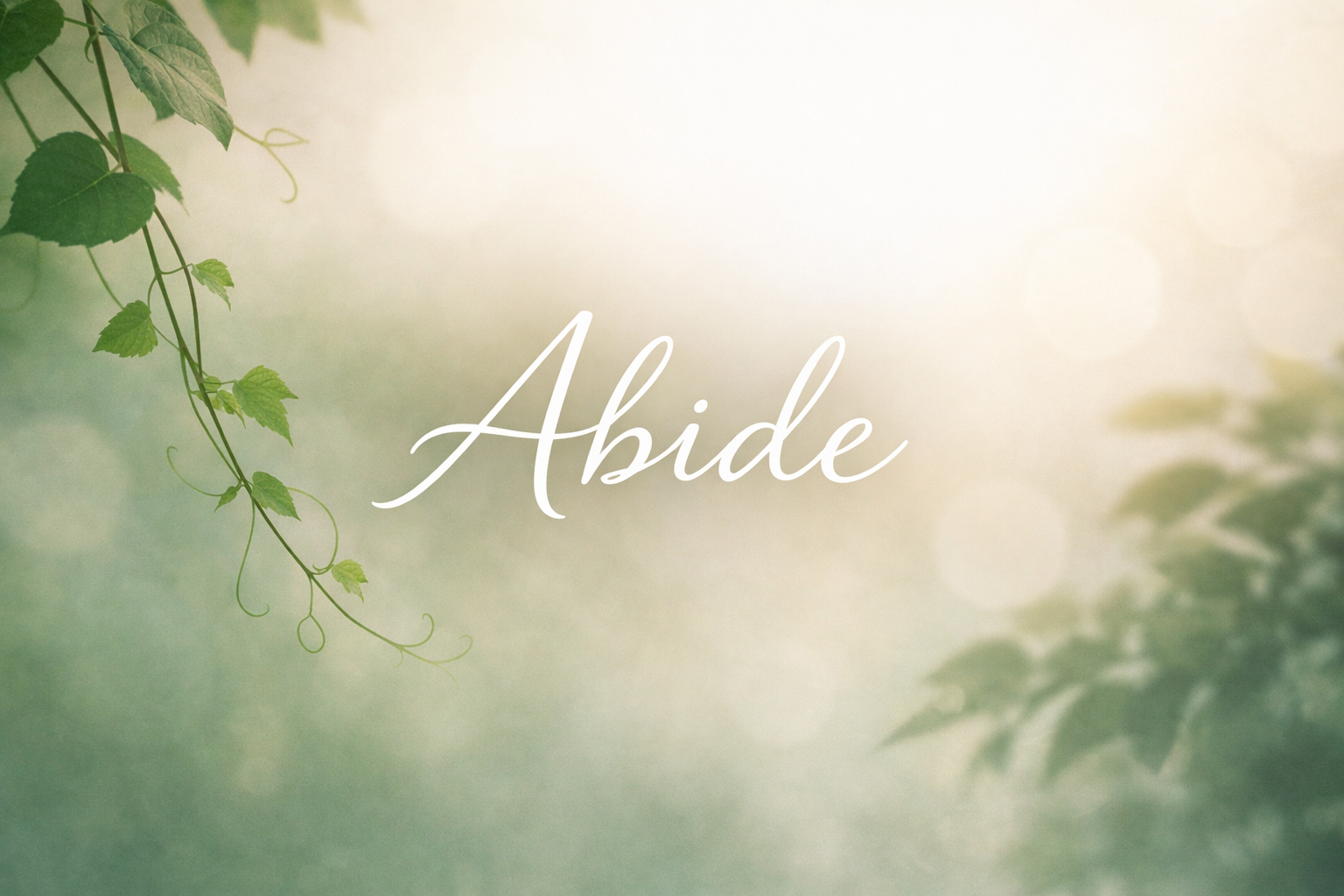 Abide