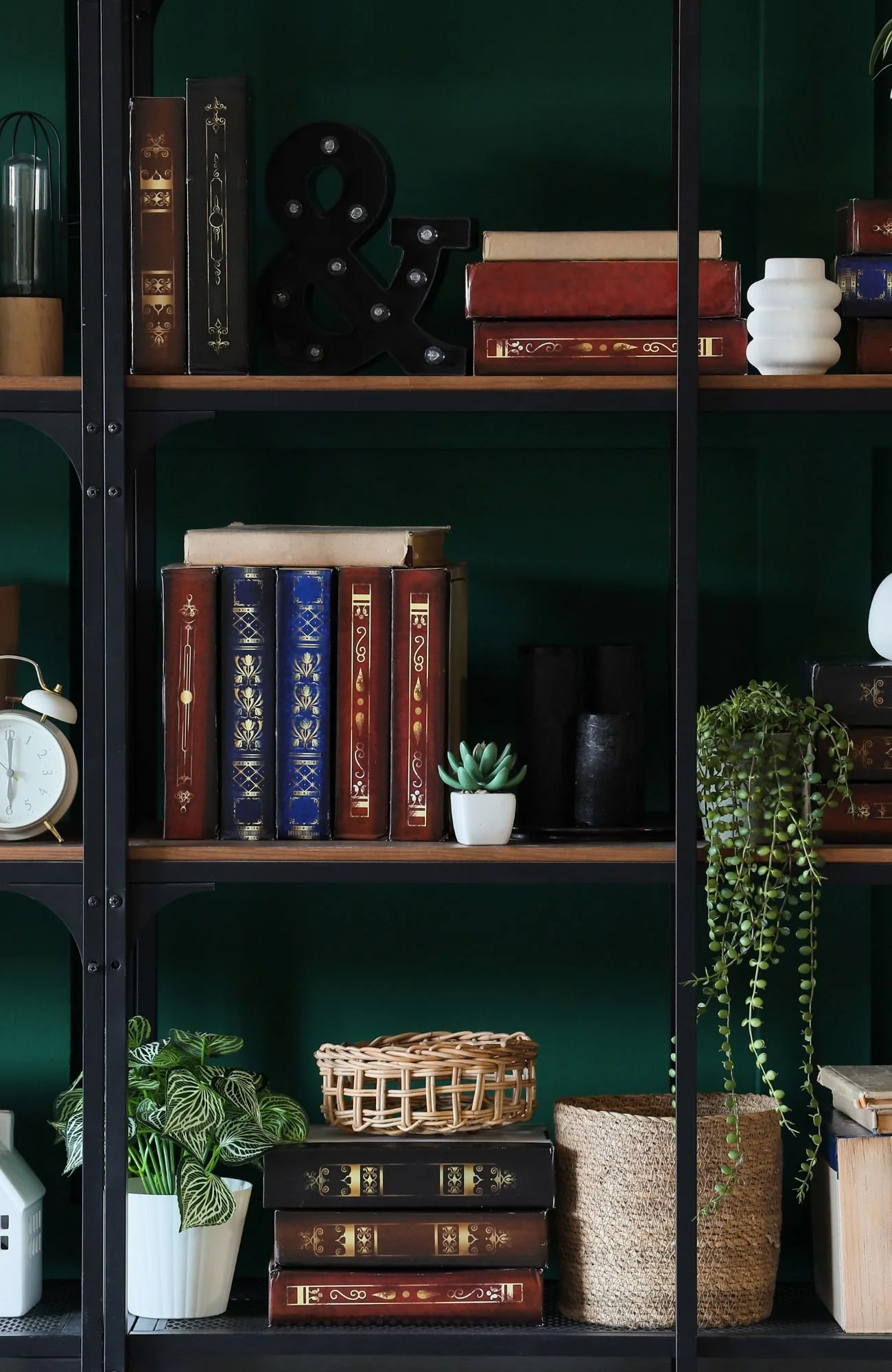 Calm therapy office of Registered Psychotherapist Jacob Damelin in Toronto, designed for men’s mental health and mindfulness-based therapy.