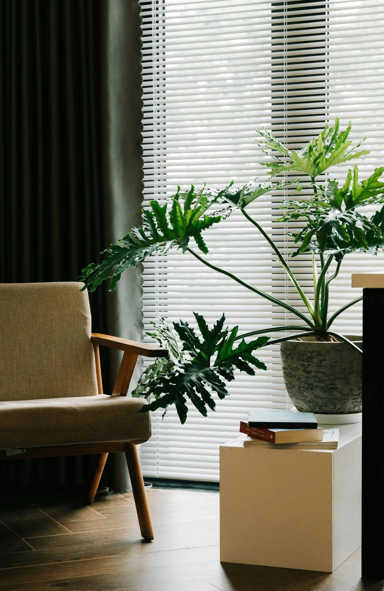 Calm therapy office of Registered Psychotherapist Jacob Damelin in Toronto, designed for men’s mental health and mindfulness-based therapy.