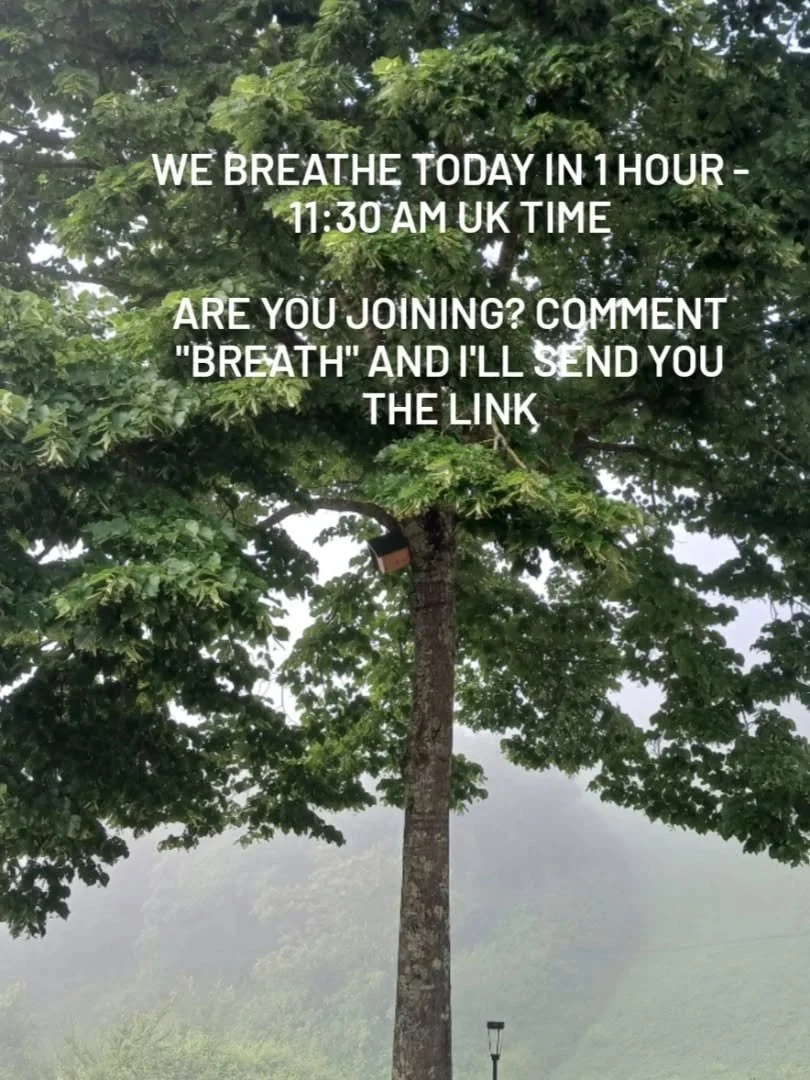 Are you joining for today's Sacred Breathe? Make the most of your lunch break and join us for a time to drop into your body and continue your day refreshed 

Comment breath and I'll send you the registration link! We start in 1 hour at 11.30 am UK ti